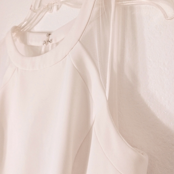 White House Black Market Sleeveless Mesh Iconic White Sheath Dress Size 4 - Picture 9 of 14